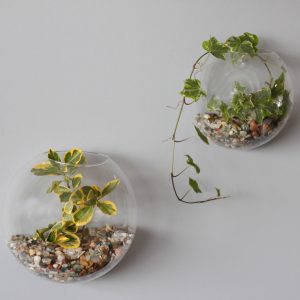 All Glass Terrarium – Small Hanging Wall Bowl