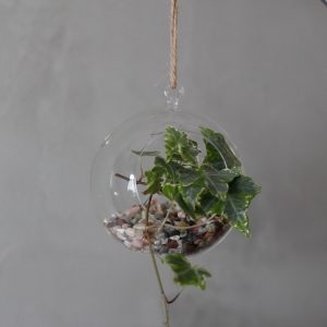 All Glass Terrarium – Globe Hanging Bowl