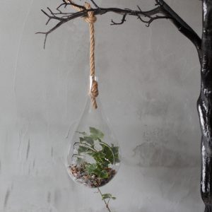 All Glass Terrarium – Hanging Teardrop on Rope