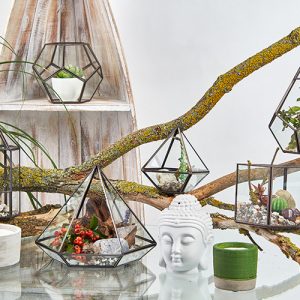 Glass Terrarium – Large Pentagon