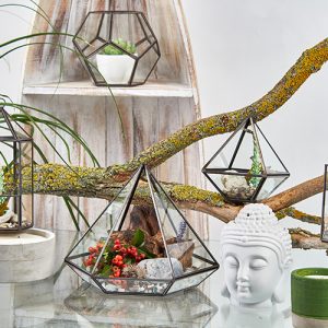 Glass Terrarium – Small Diamond