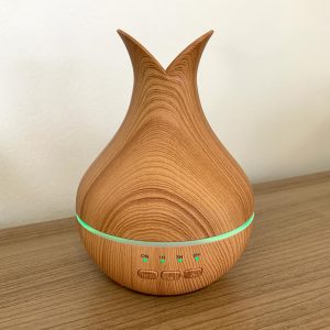 Palermo Atomiser – USB – Colour Change – Timer