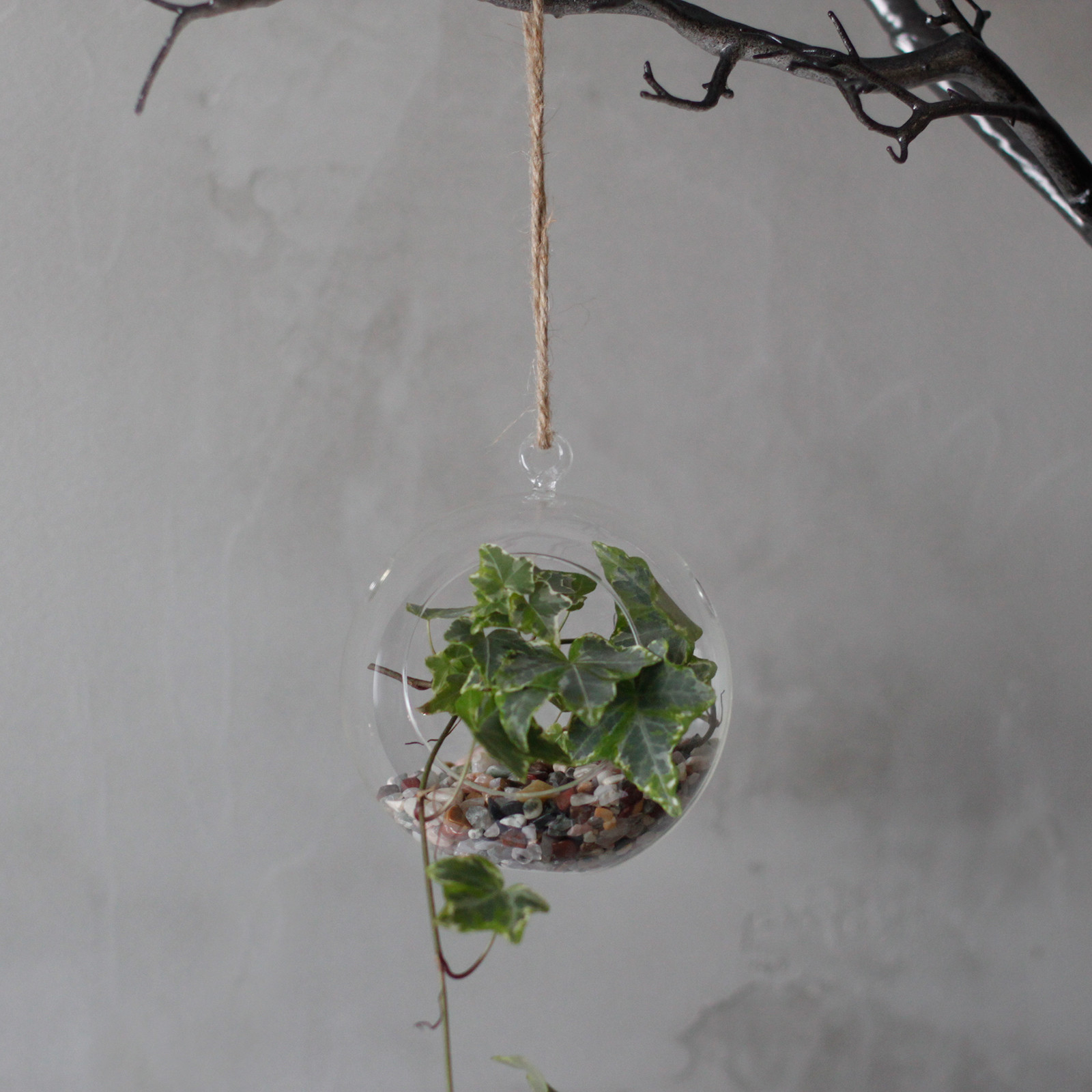 All Glass Terrarium - Globe Hanging Bowl - Image 9