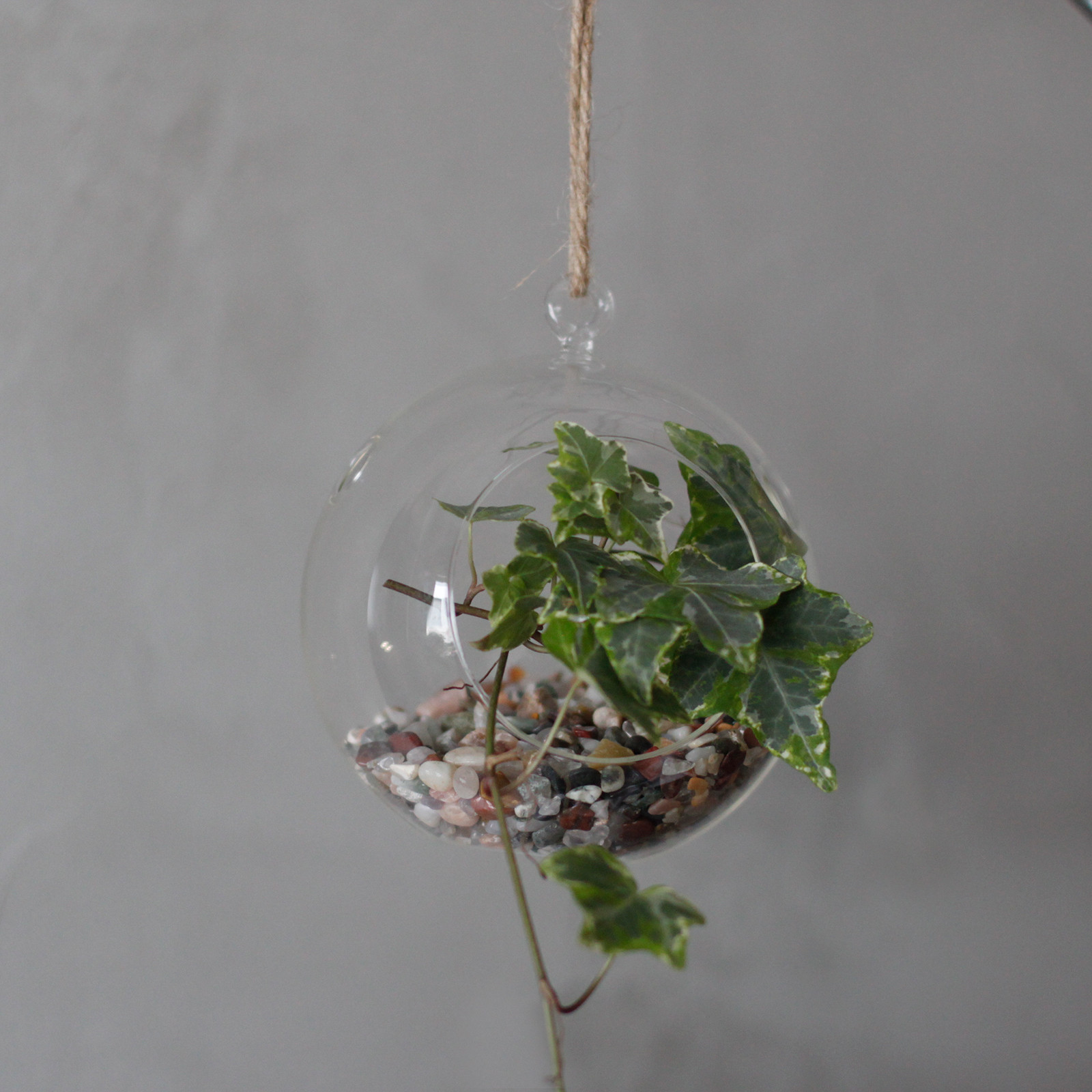 All Glass Terrarium - Globe Hanging Bowl - Image 8