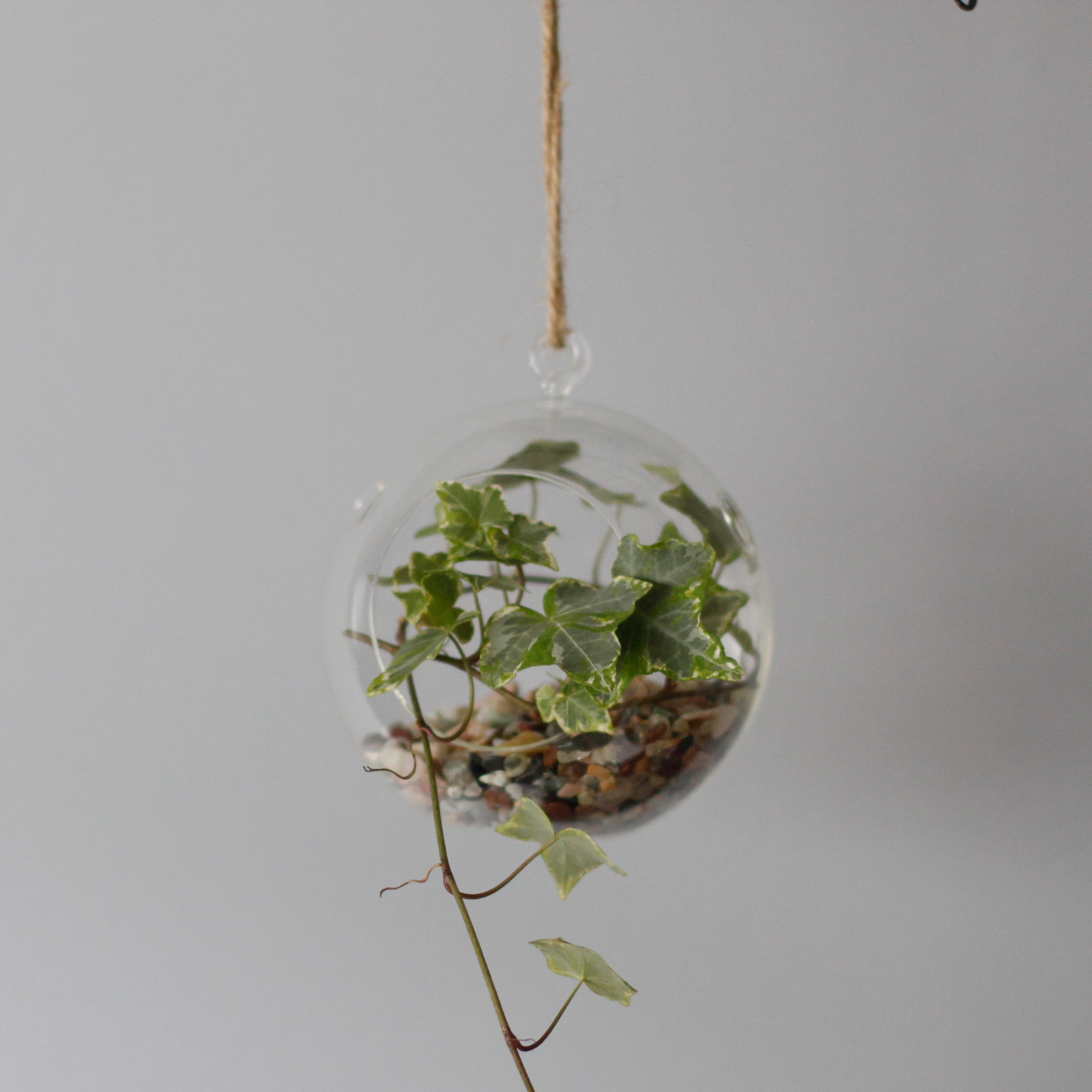 All Glass Terrarium - Globe Hanging Bowl - Image 7