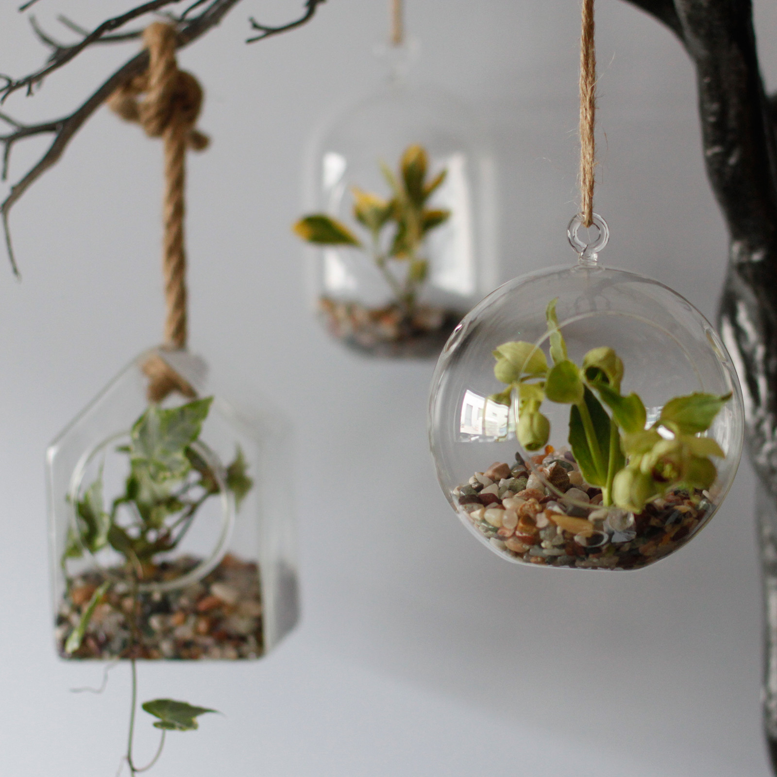 All Glass Terrarium - Globe Hanging Bowl - Image 5