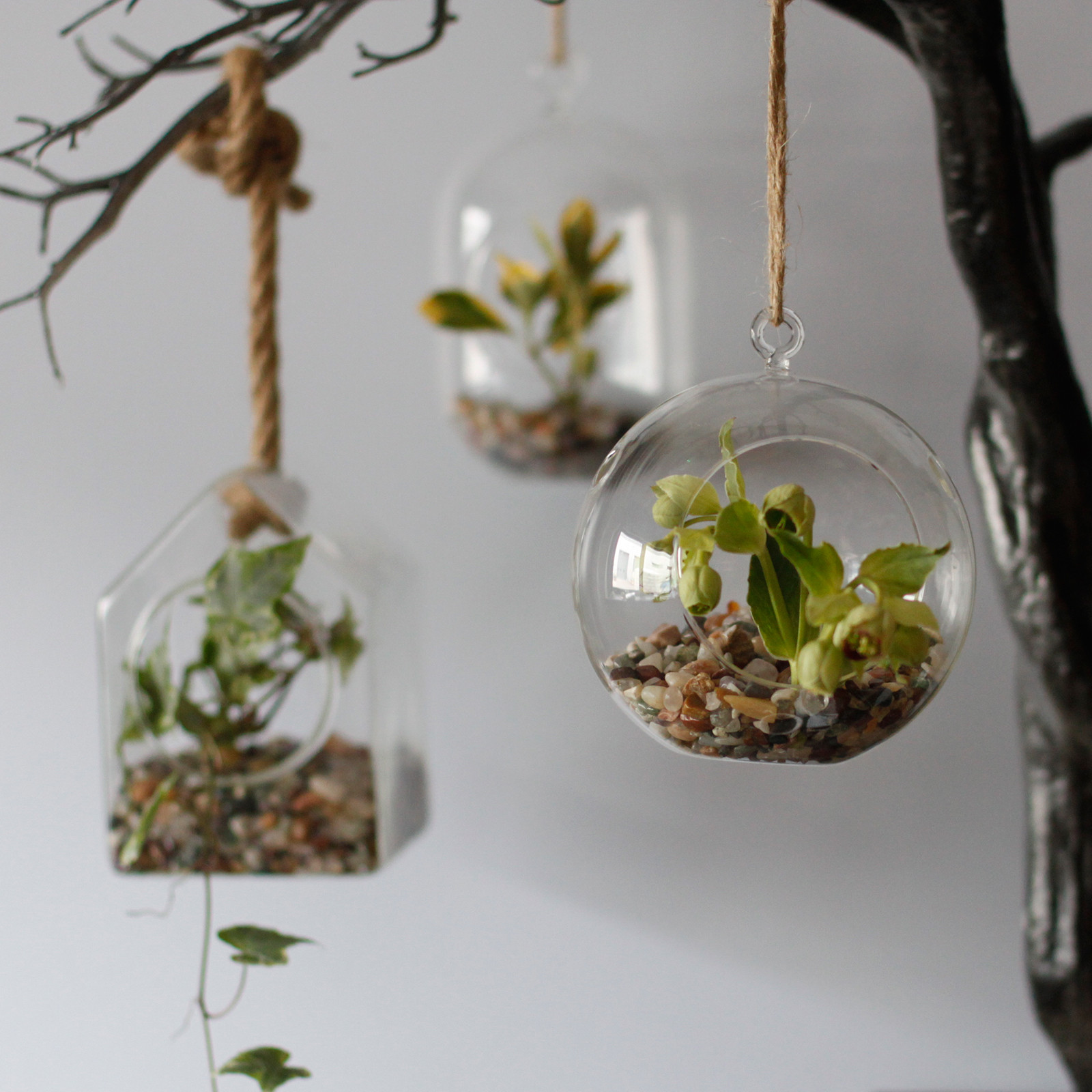 All Glass Terrarium - Globe Hanging Bowl - Image 2