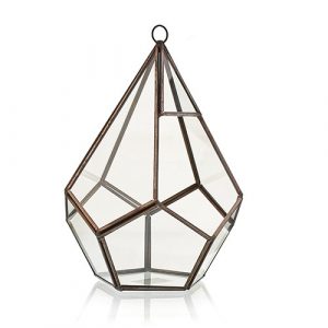 Glass Terrarium – Large Pentagon