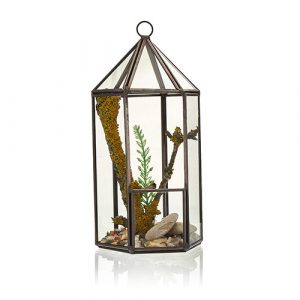 Glass Terrarium – Lantern Shape