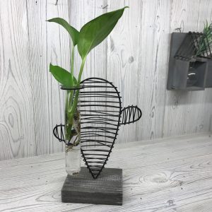 Hydroponic Home Décor – Cactus & Lab Pot
