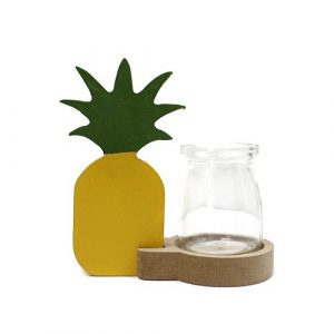 Hydroponic Home Décor – Pineapple Pot