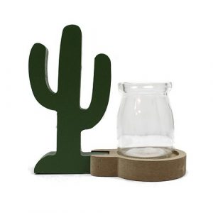 Hydroponic Home Décor – Cactus Pot
